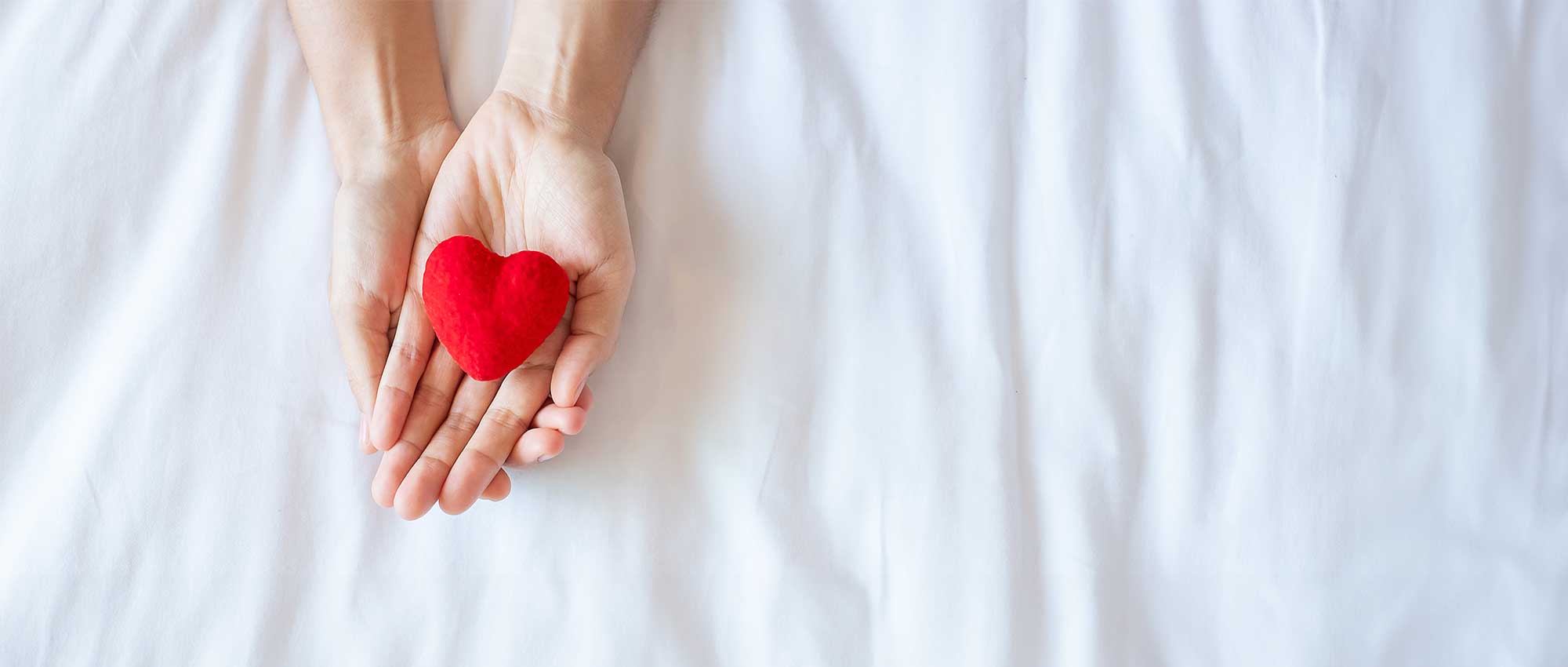 heart in female palm of hands